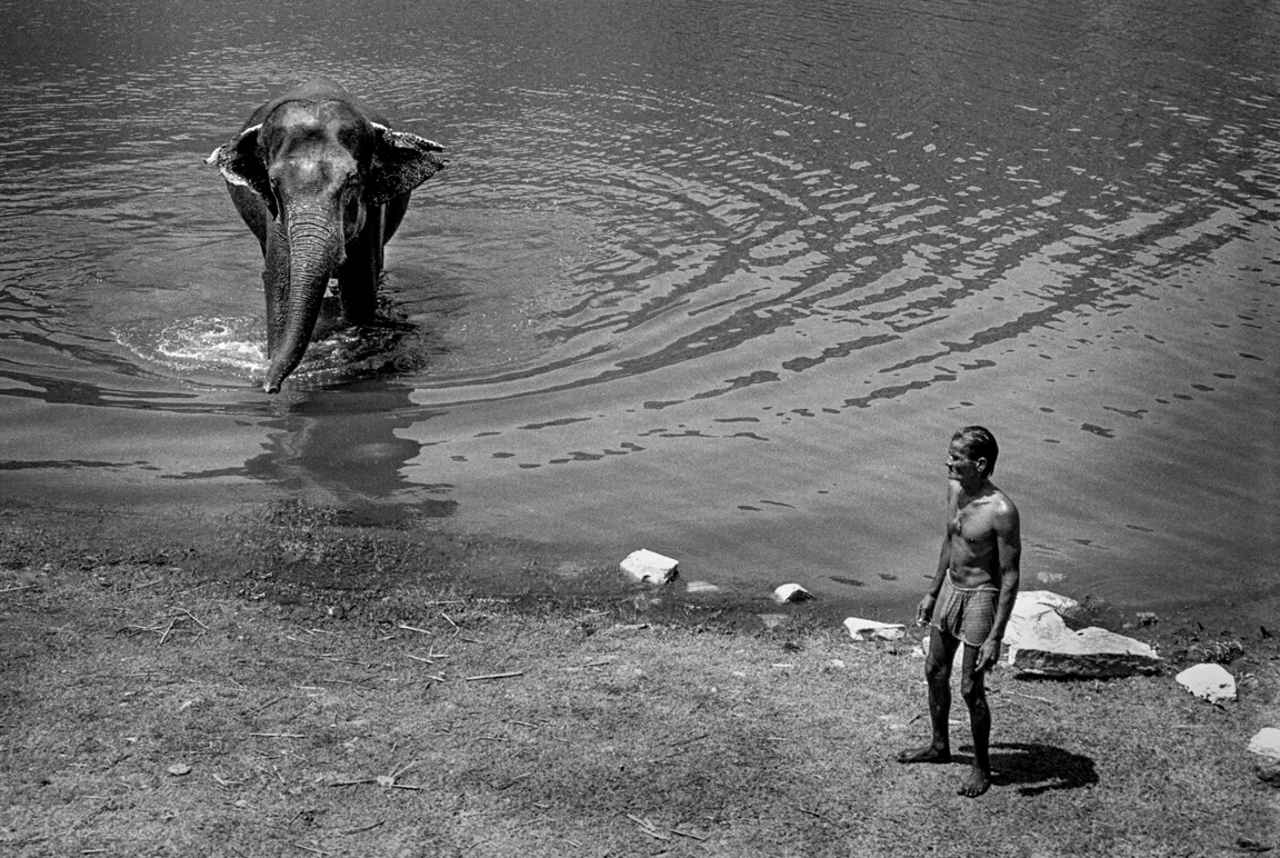 INDIA_2018_Edit8_-18.jpg