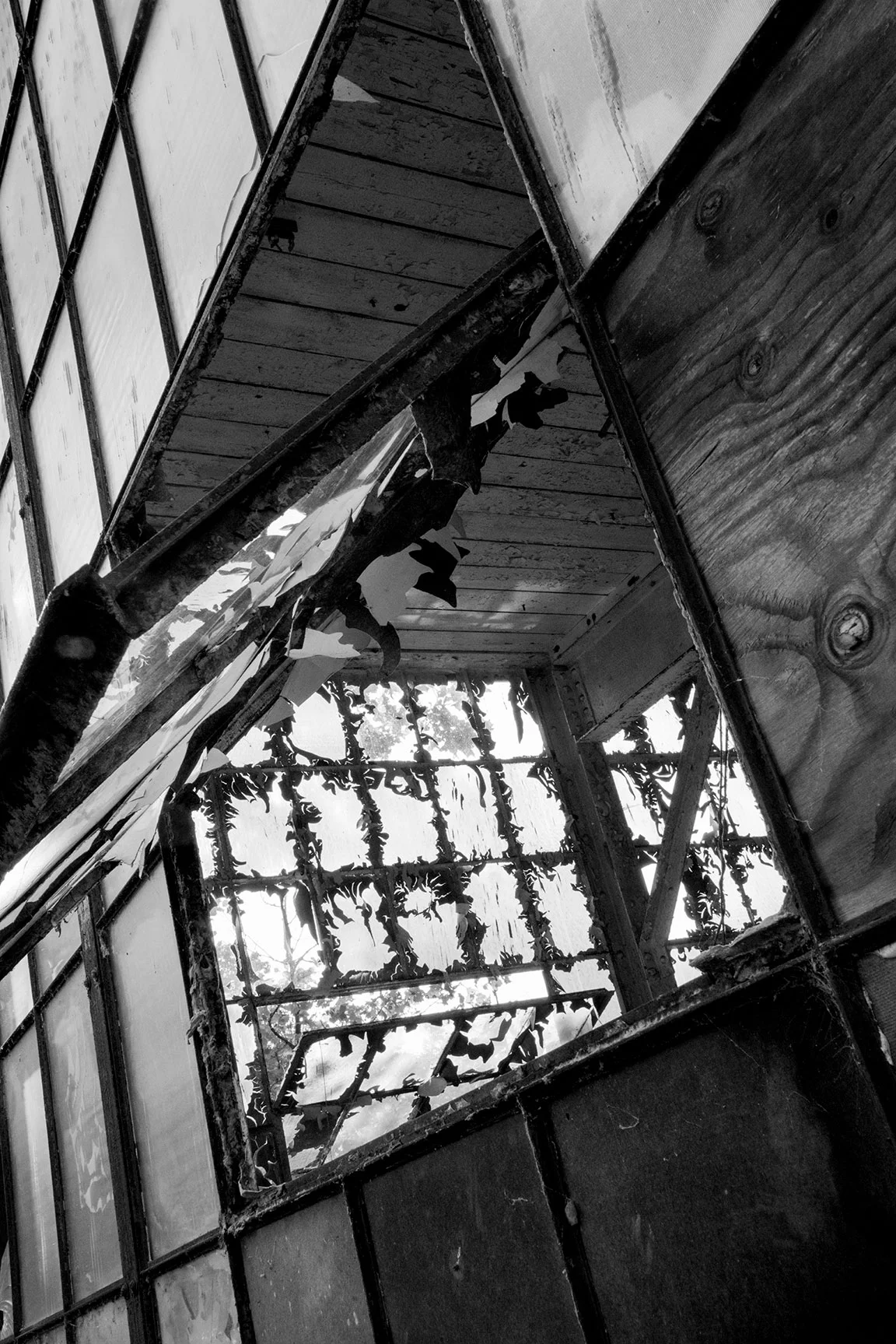 HabershamGlass_0322.jpg