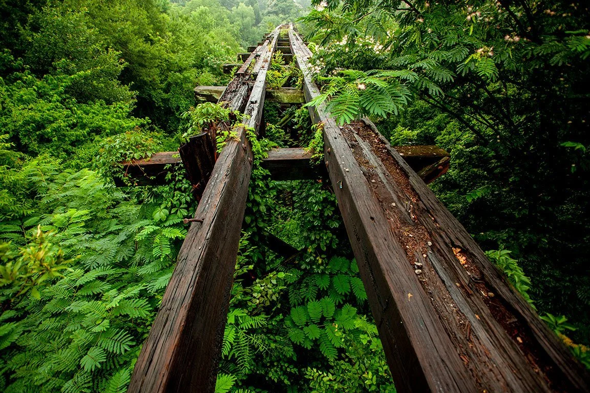 MurmurTrestle_Book_0047.jpg