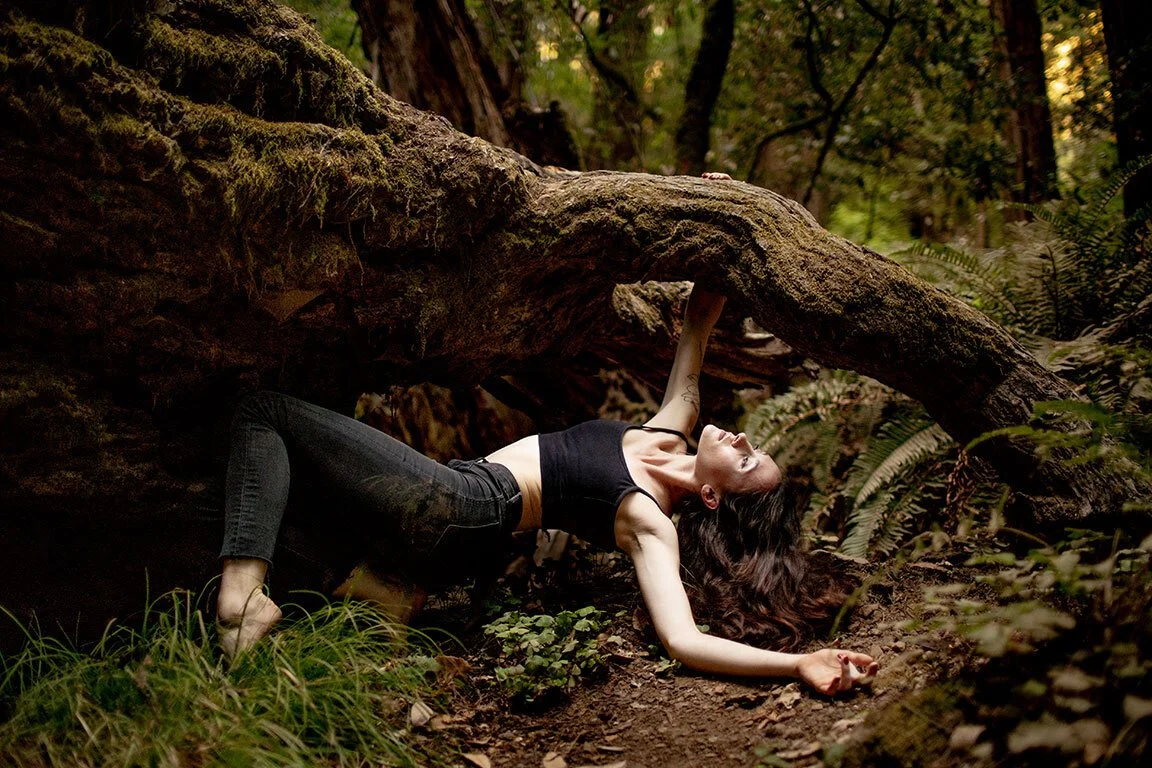 MayaHarr_MuirWoods_2019_0029.jpg