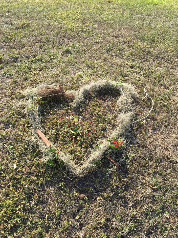 Kid's Nature Yoga