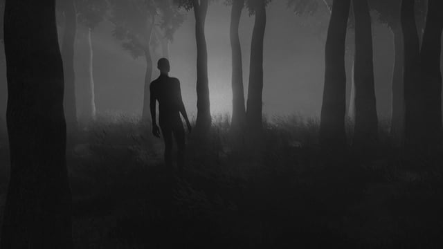 Forest (Cinema 4D, Octane)