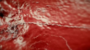 Water Simulation Test (X-Particles, Octane, Cinema 4D)