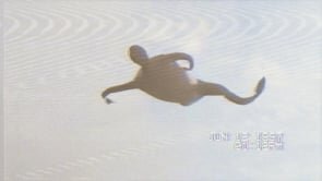 Charles Spearin & Josefin Runsteen - Istäcke