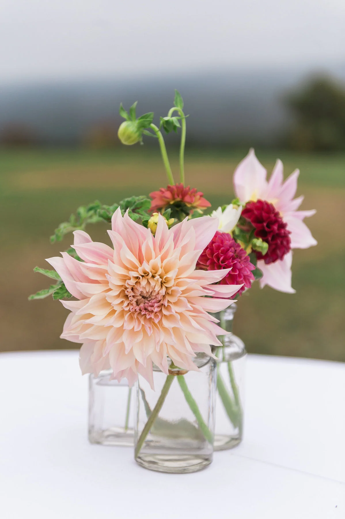 Catherine Threlkeld Photography
