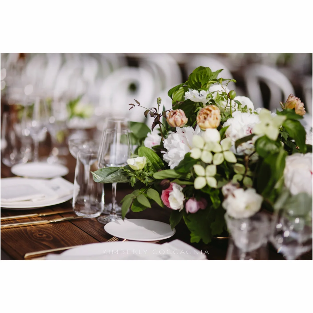 Kimberly Coccagina Photography