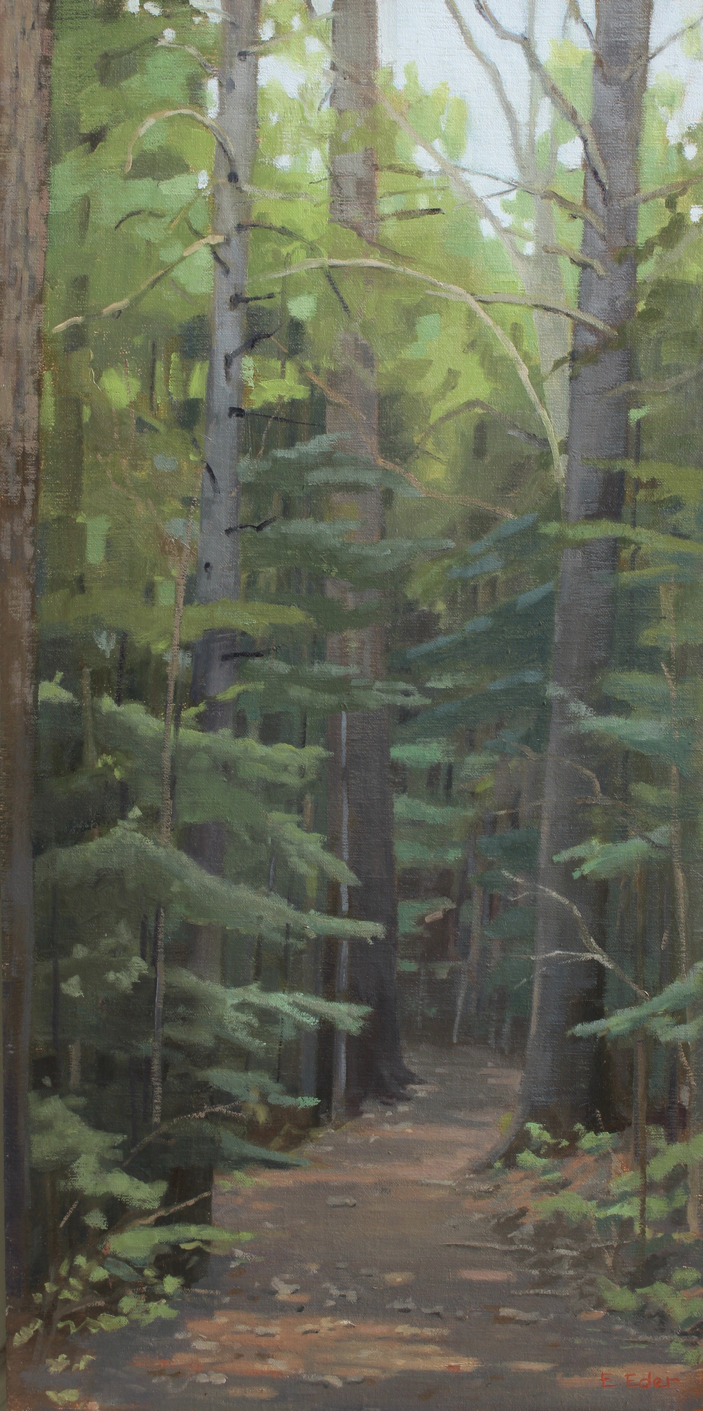 Cathedral Trees, oil, 12 x 24.JPG