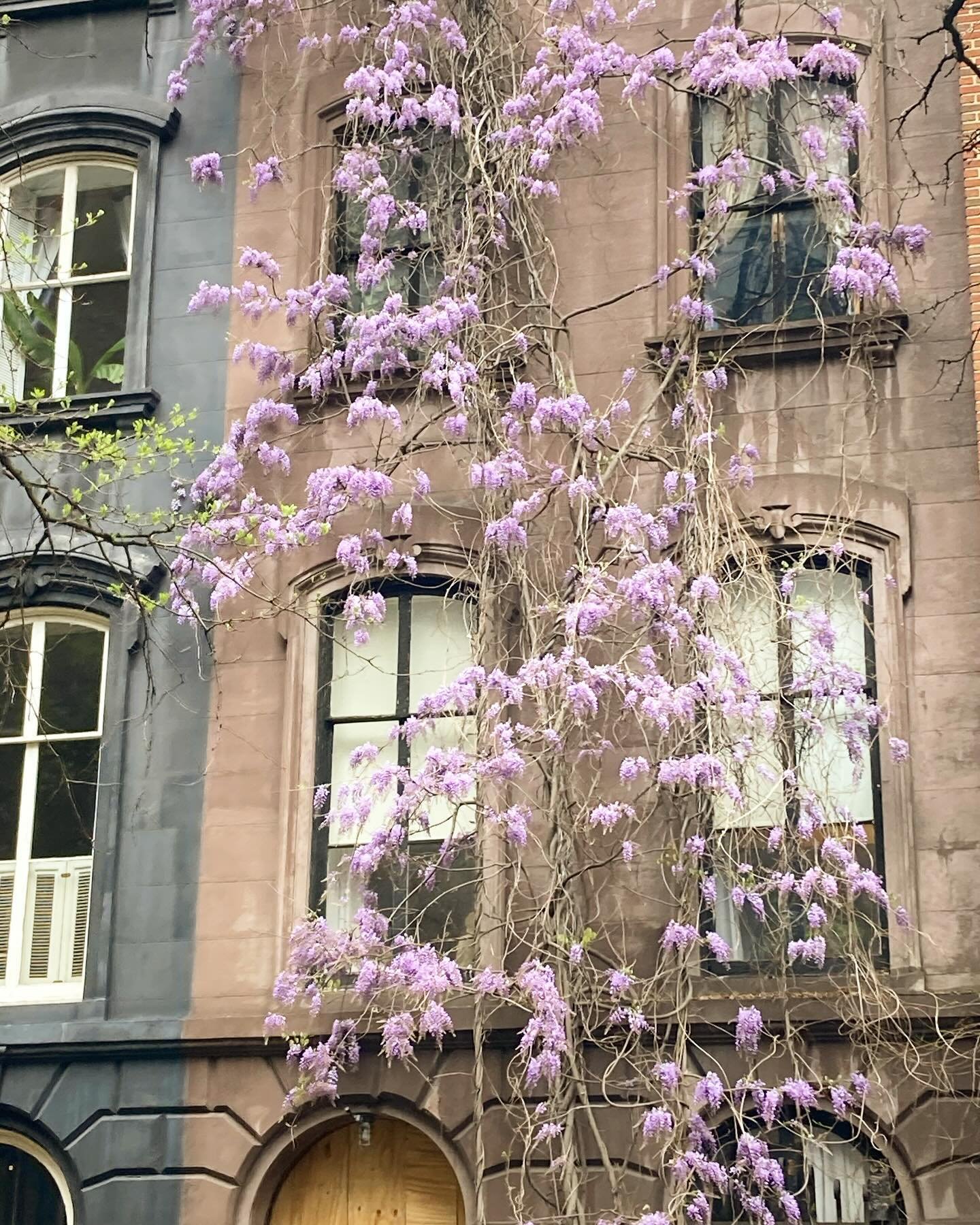 If you remember, Kerri-Lee, Peter and Natalie took a recent trip to the Big Apple 🍎 for shopping trip specifically for our new retail space&hellip;

 While out and about, this scheme caught Peter&rsquo;s eye. The subtle brown makes the light purple 