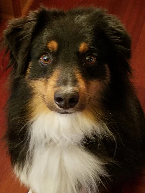 Wyatt.jpg