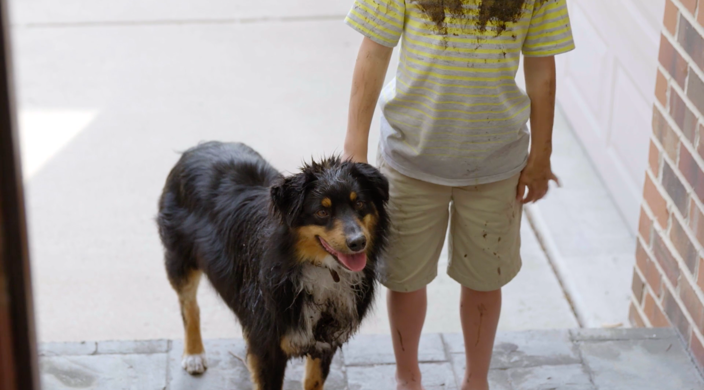 Industry Insights: Dog Training with Julie Nelson