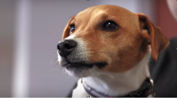 video+production.png