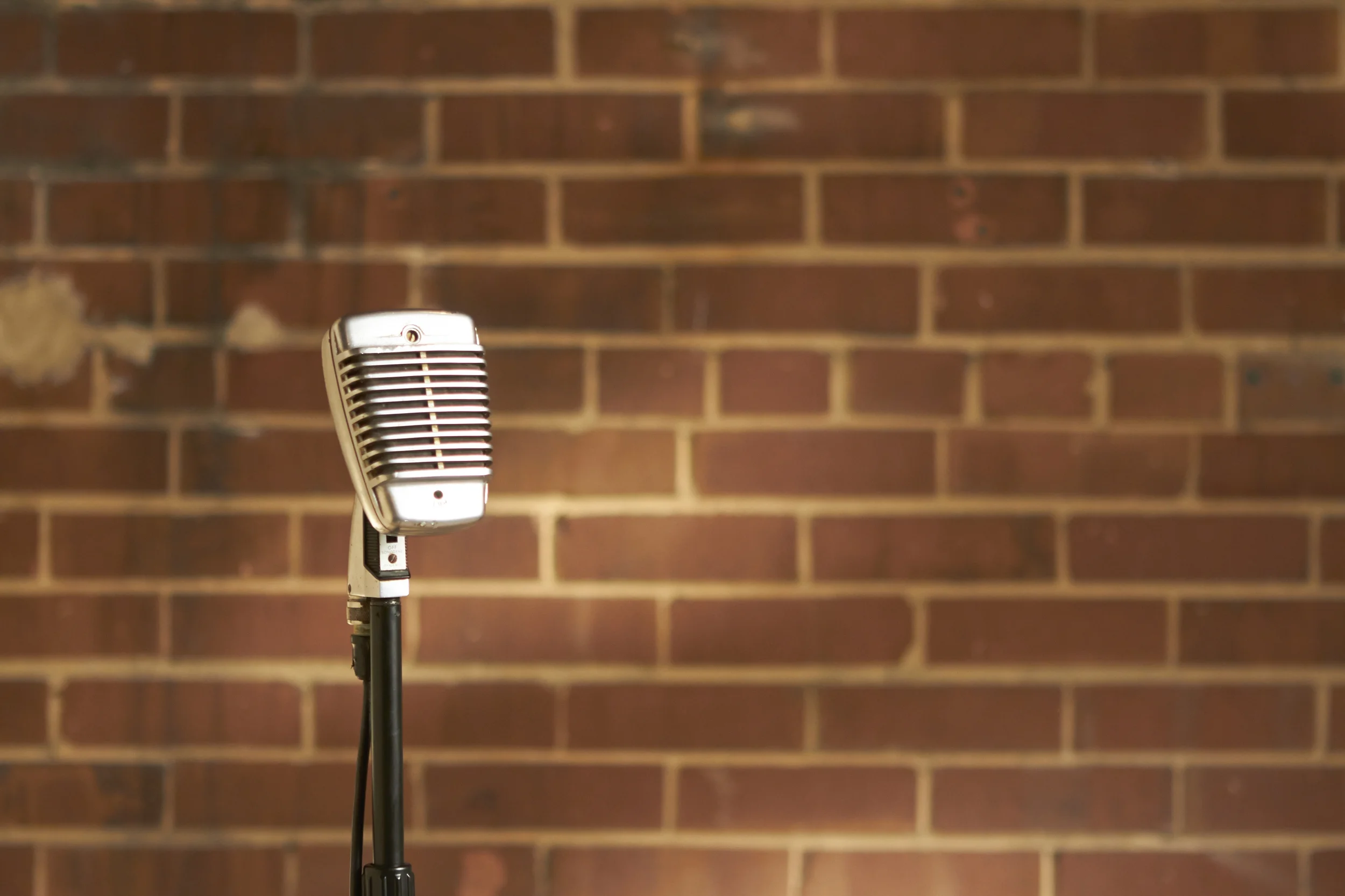 Picking the Right Voice Over Artist for Your Video!