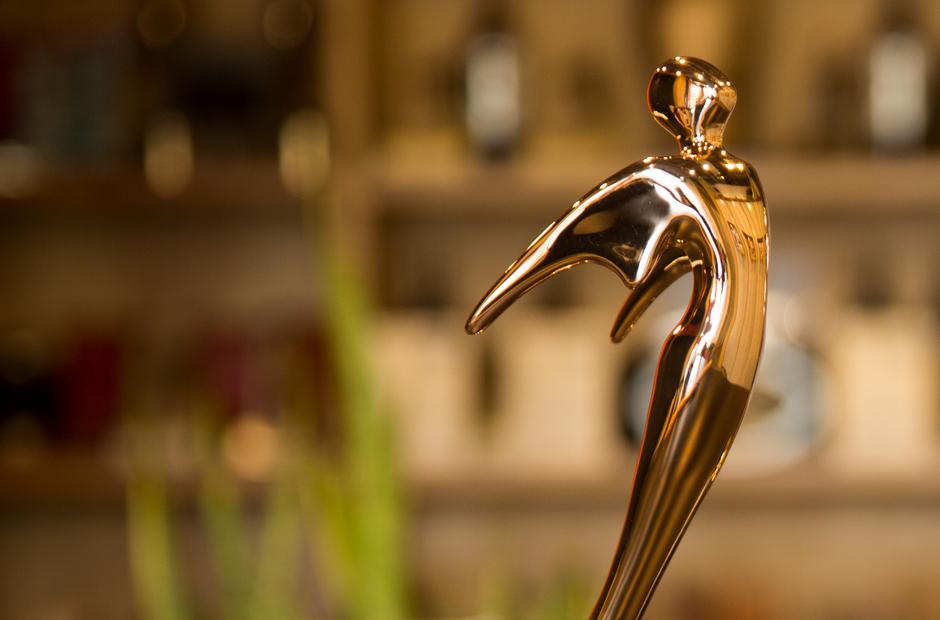 Motion Source Wins Two Telly Awards!