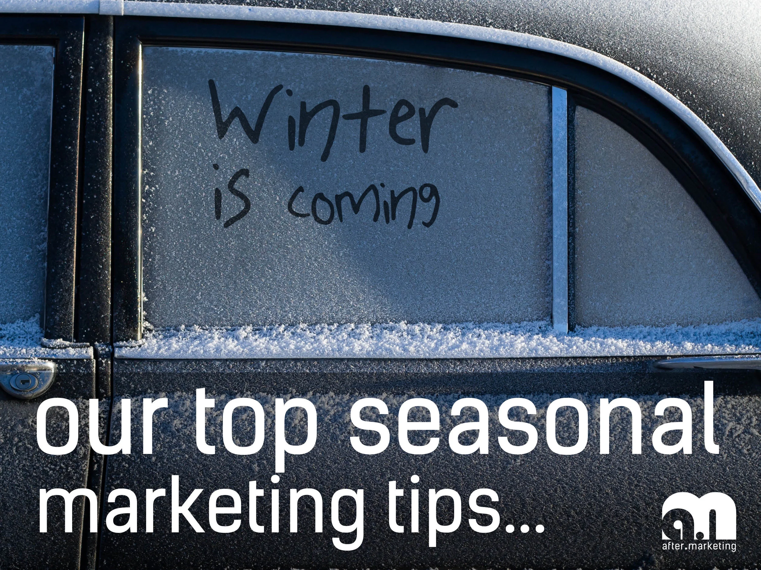 winter-promo.jpg