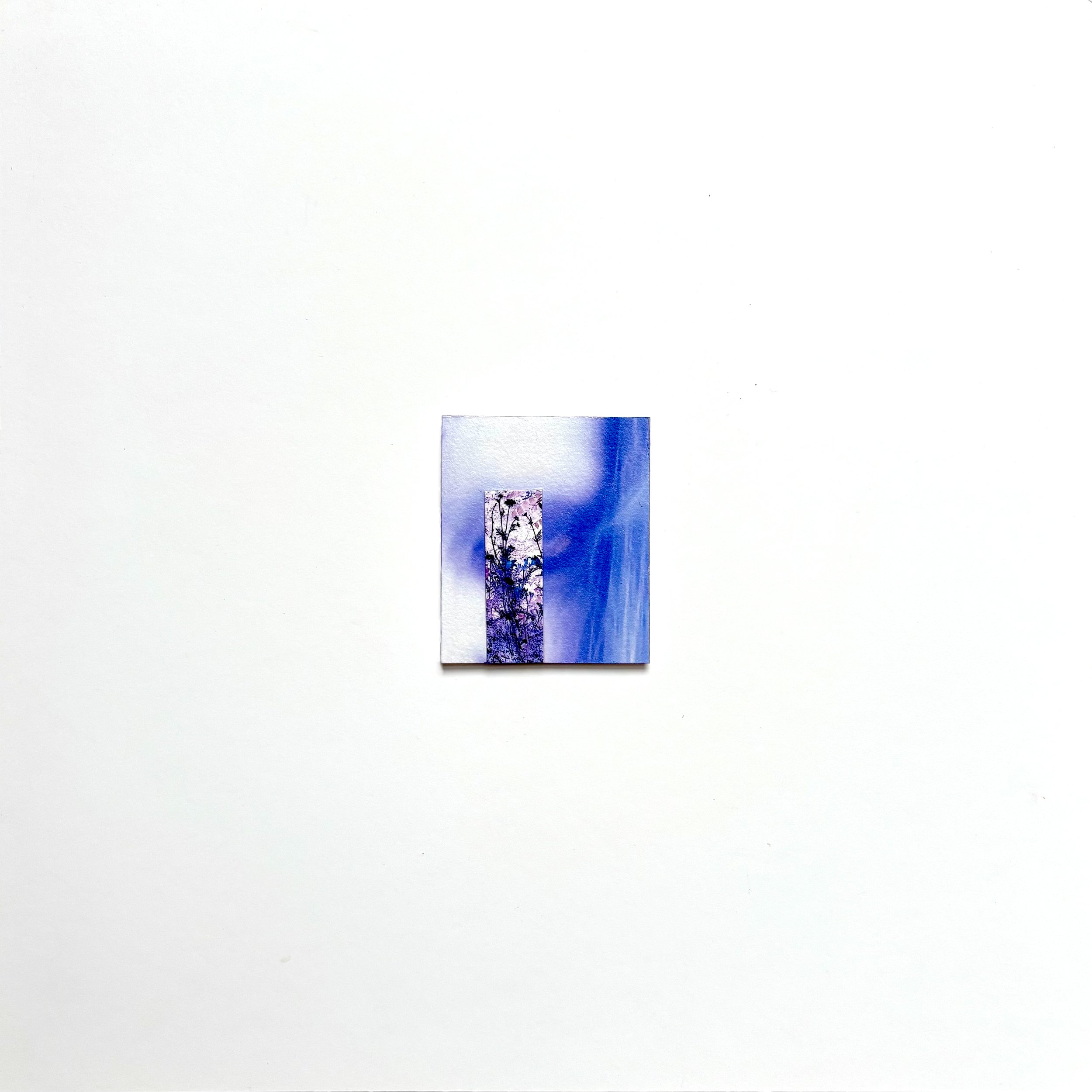 From the Corner of My Eye Series Wildflowers Photograph, Acrylic on Paper 14.5 x 14.5 2025.jpg