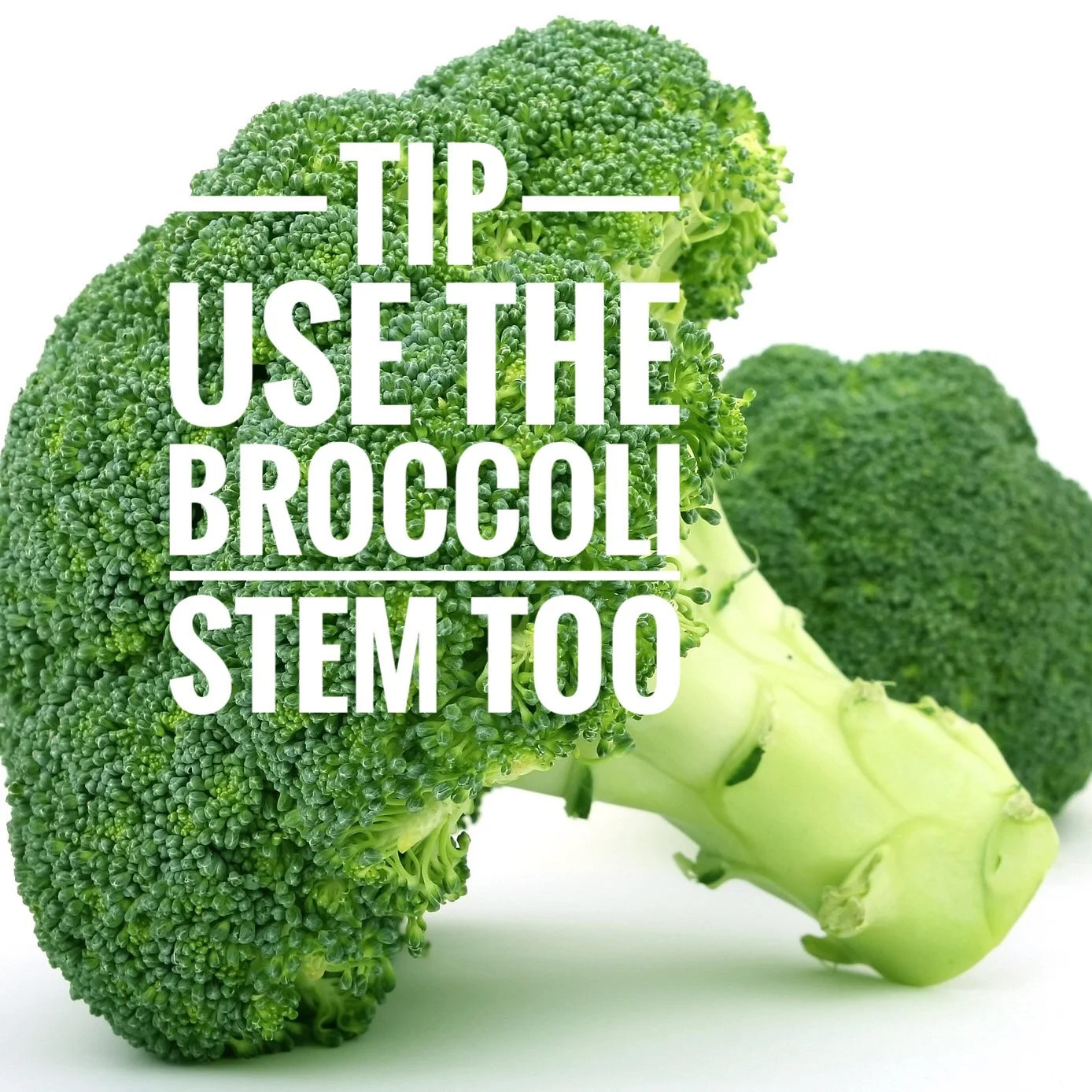 Broccoli Stem and Tree