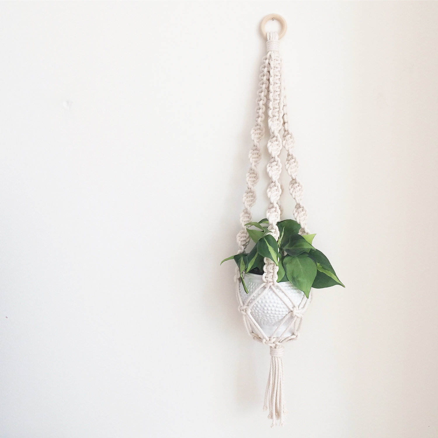 Introducing our macrame plant hanger kit — Cosy Craft Club