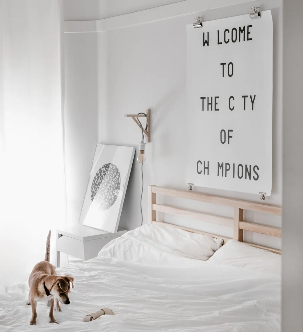 Renting in the city? Ontario Just got a new Standardized Lease 