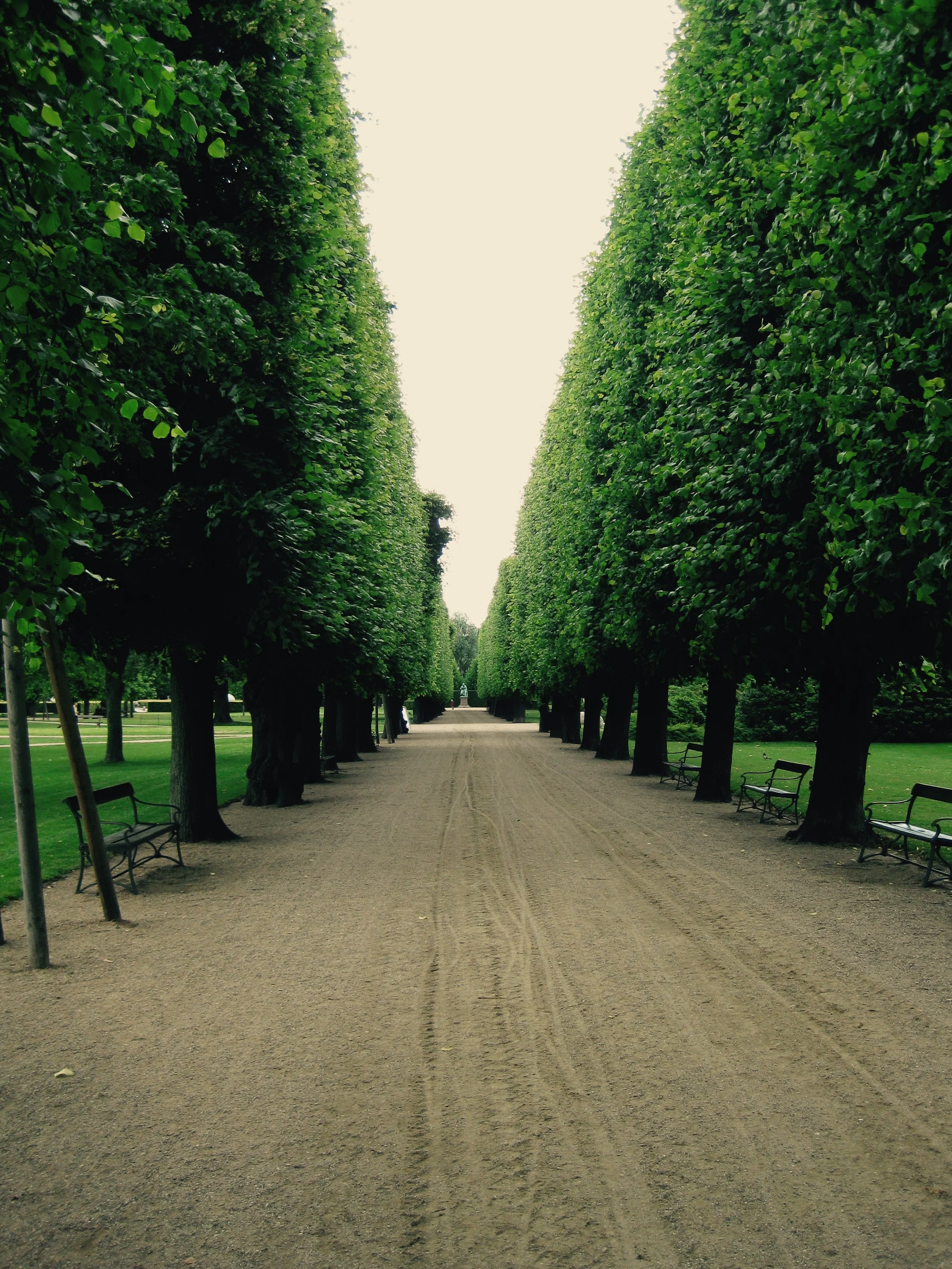 Mastering the Moment- 1st of 8 in a Series Exploring a Mindfulness Approach to Unwanted Habits