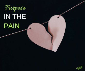 Purpose In The Pain.png