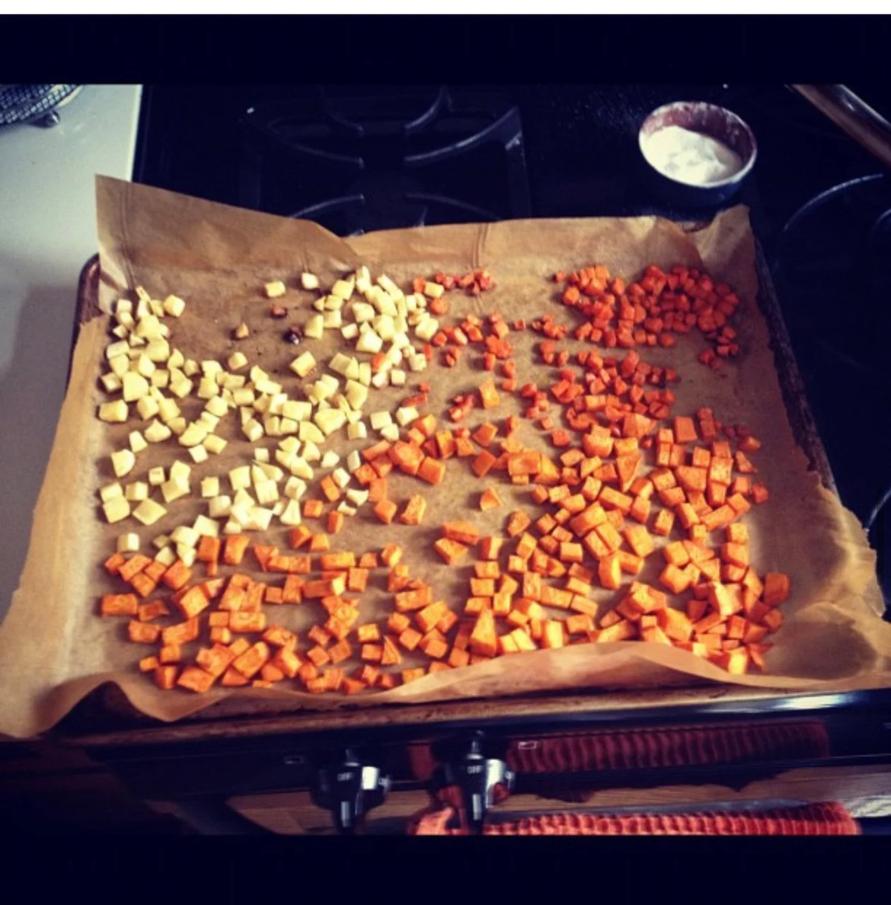 Feeding Picky School-Aged Kids