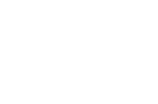 Wild Fire