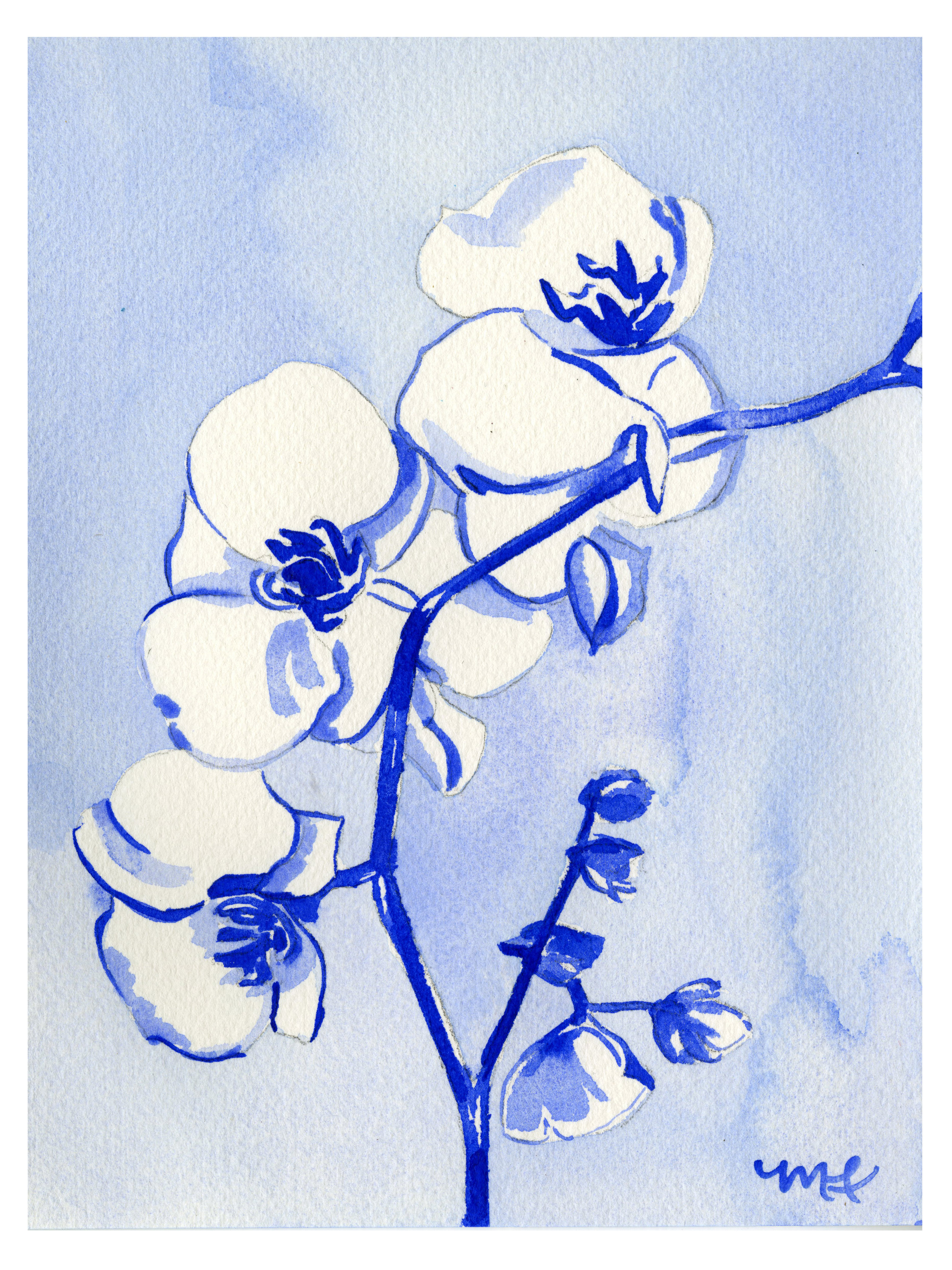 Blue Orchids No. 2 w border.jpg