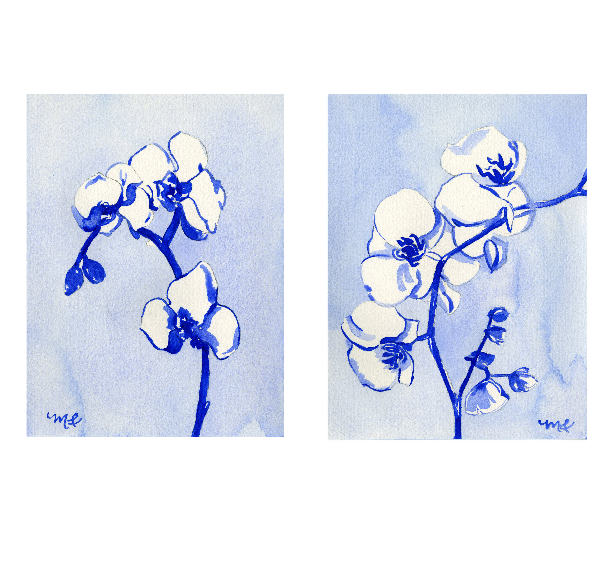 Blue Orchid No. 1 & No. 2 Prints shown together