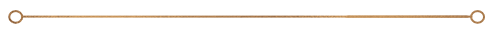 TP_dotborder.png