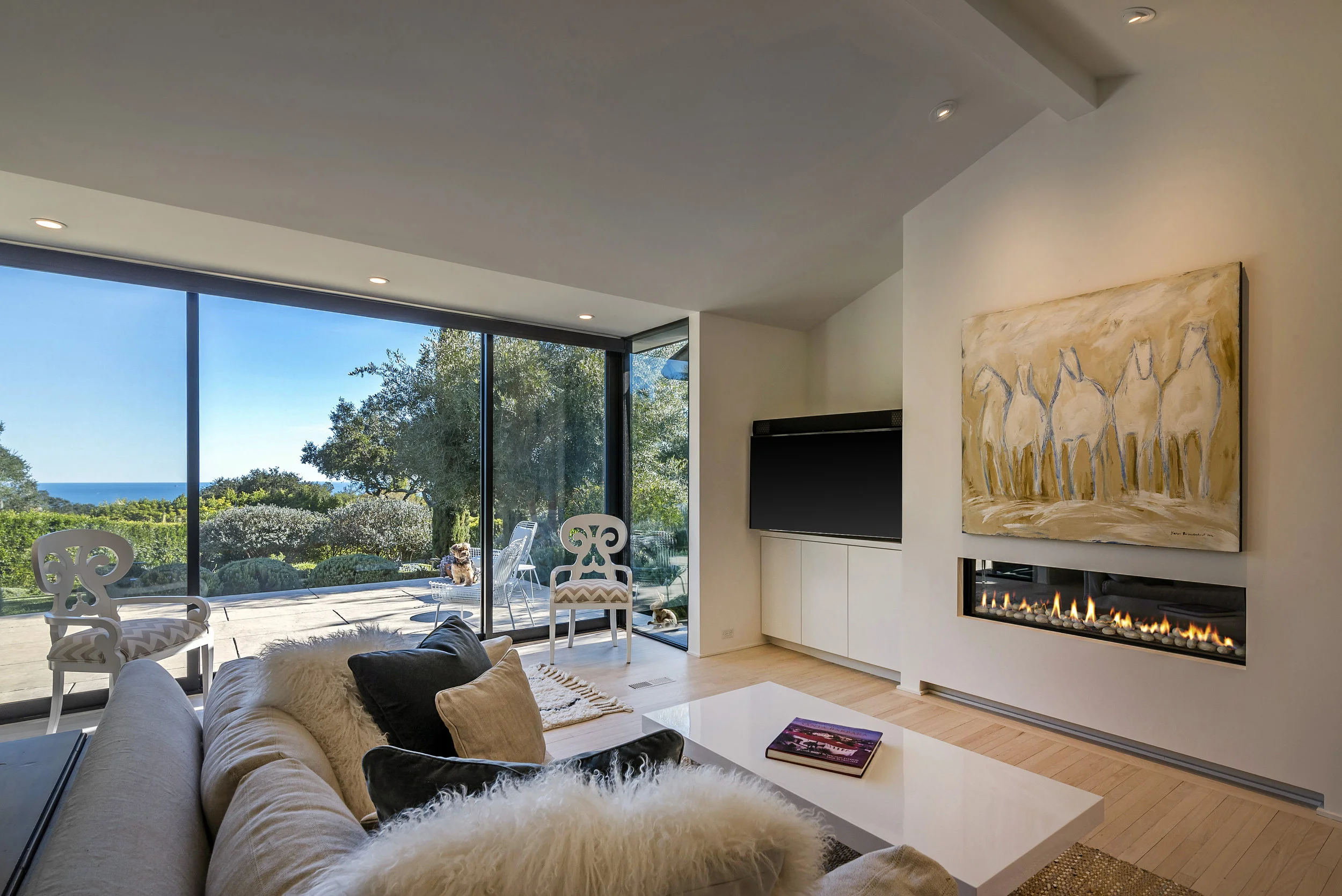 800 HS Living Room FP View .jpg