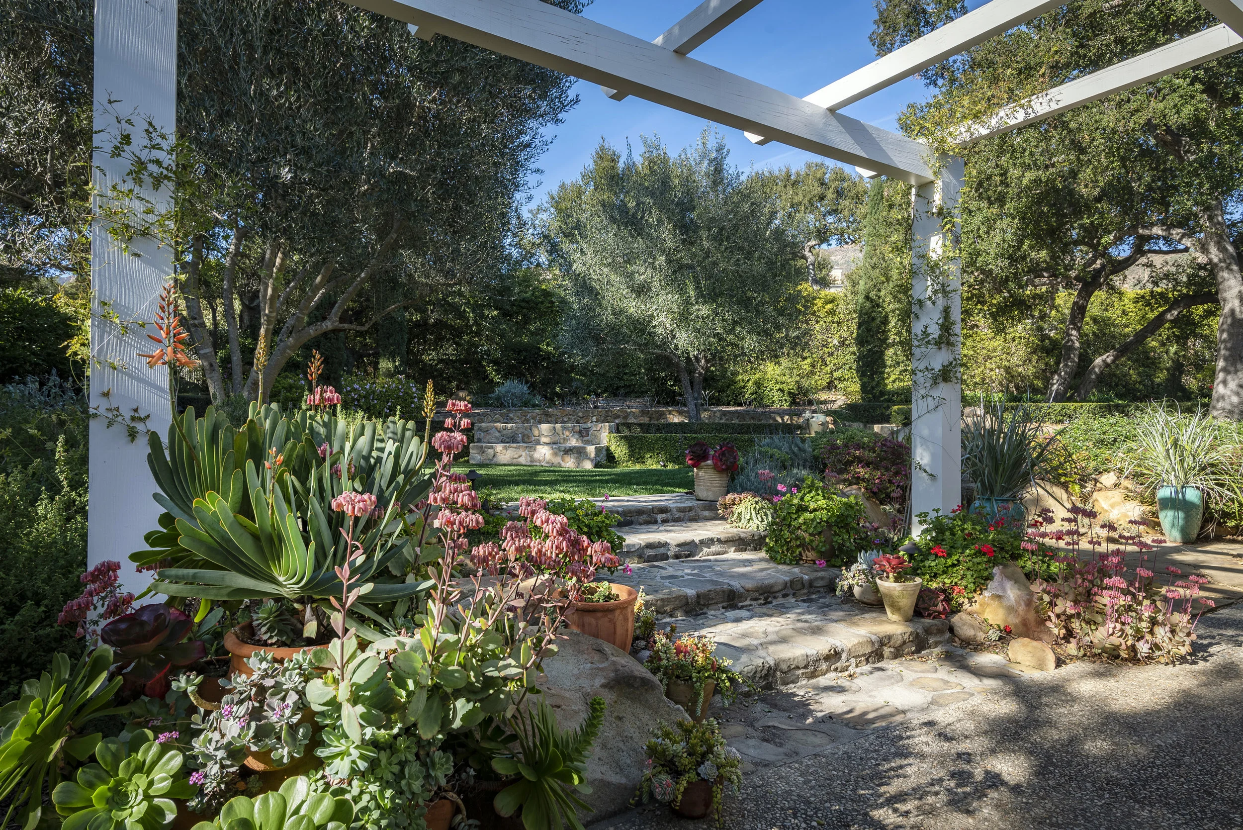 800 HS Garden Planters & Steps.jpg