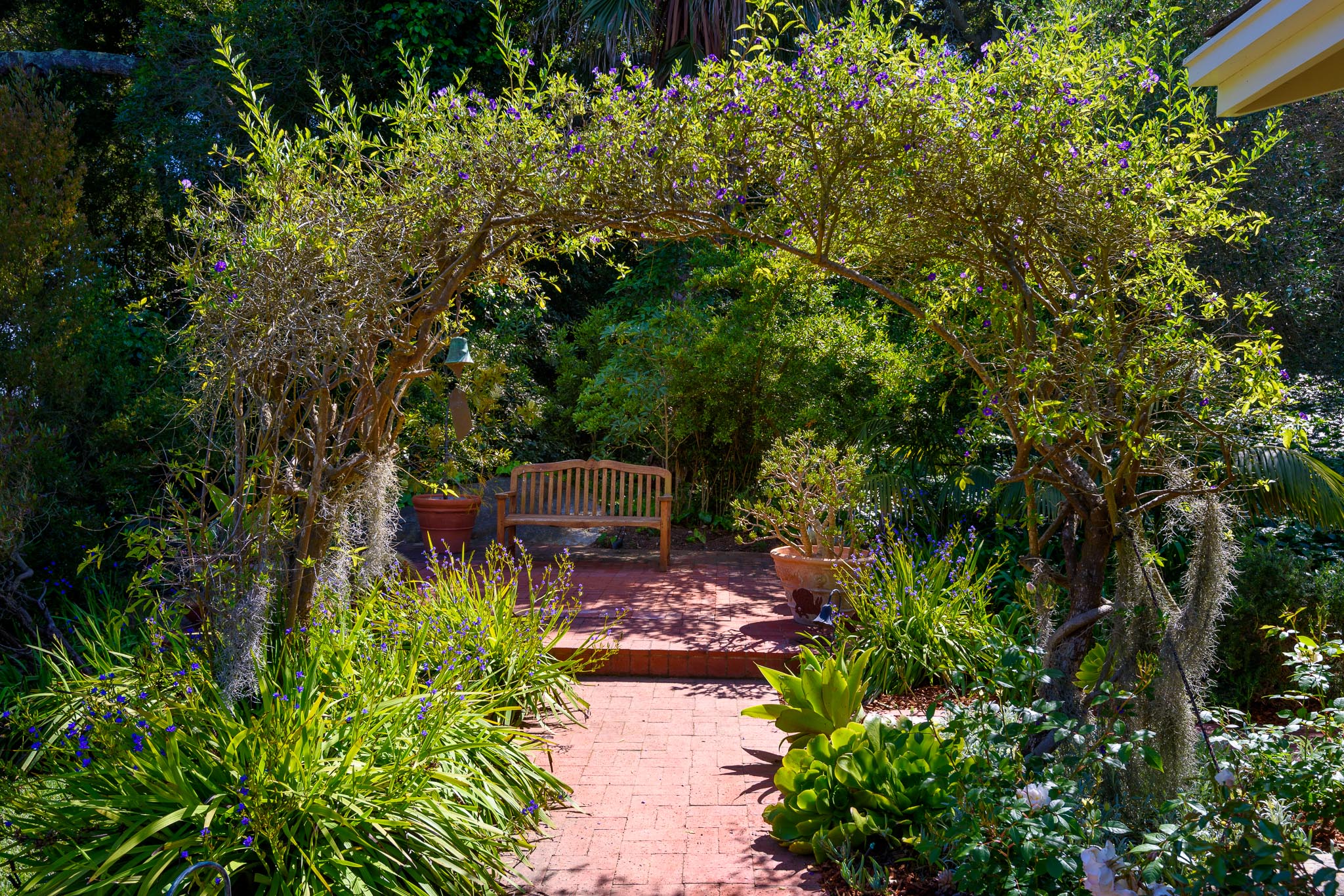 DSC_0810.jpg