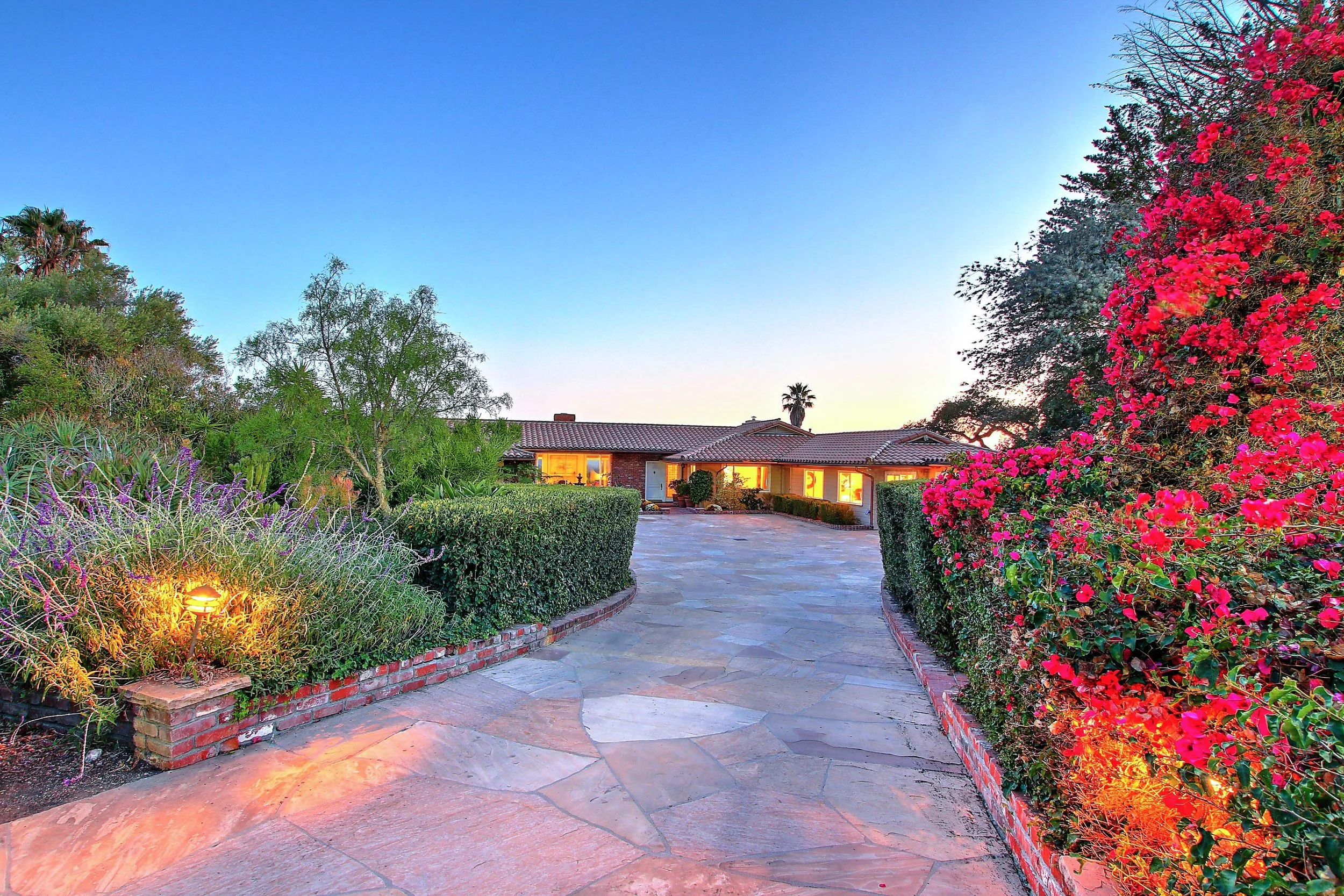 3742 Foothill Dusk Bougainvilla.jpeg