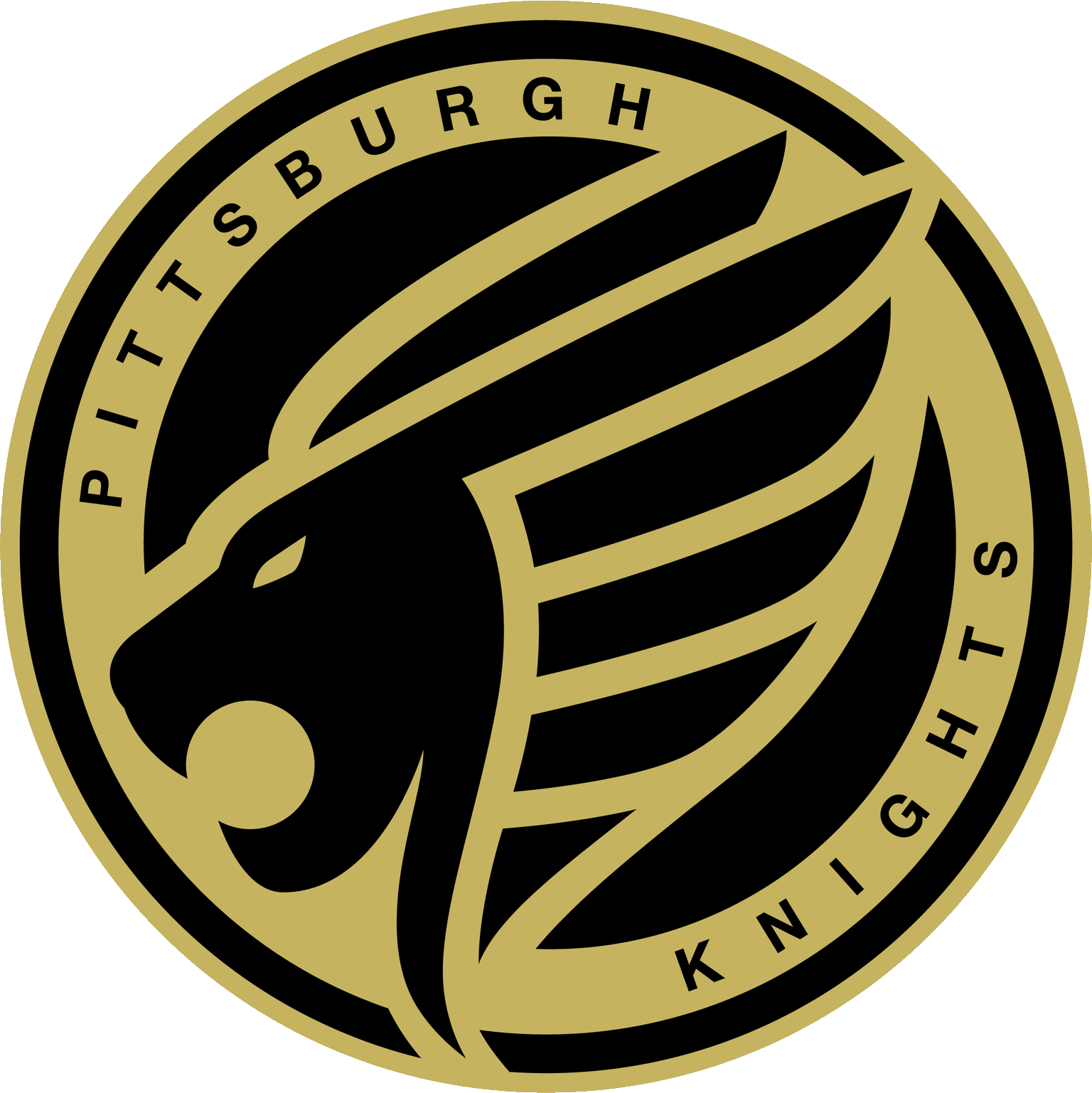 PittsburghKnightsLogo.png