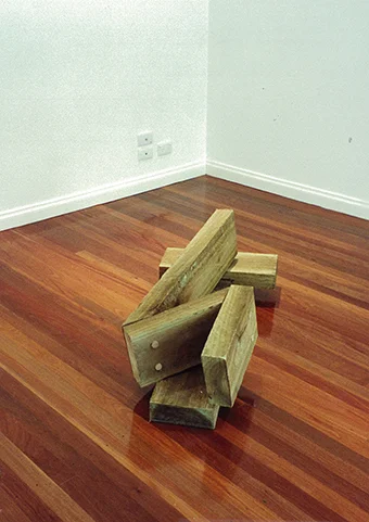 TIMBER SLEEPER. 2002.jpg