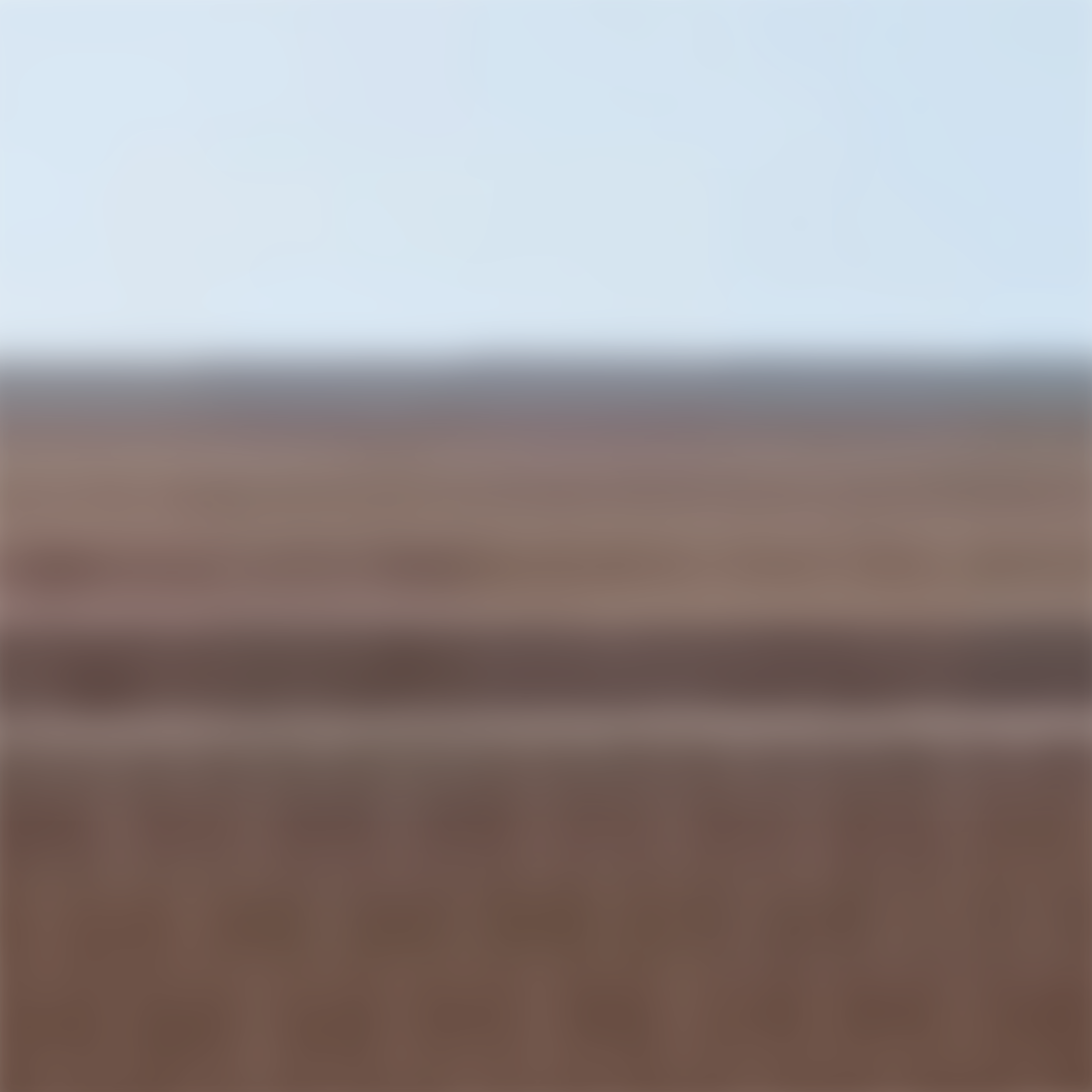 59cmX59cm_BULIDING UP_FXD.PNG