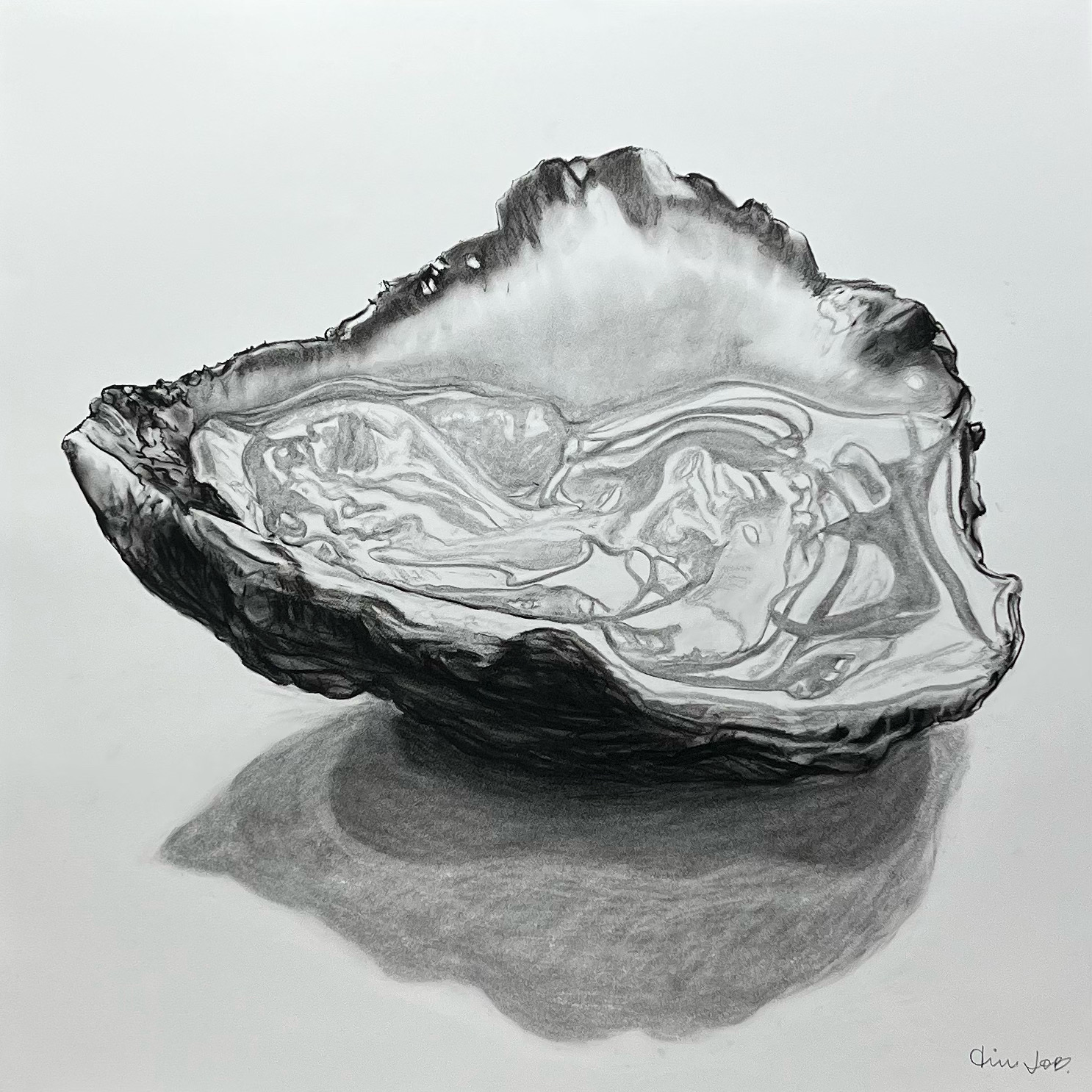 OYSTER #2_86cmX86cm.PNG