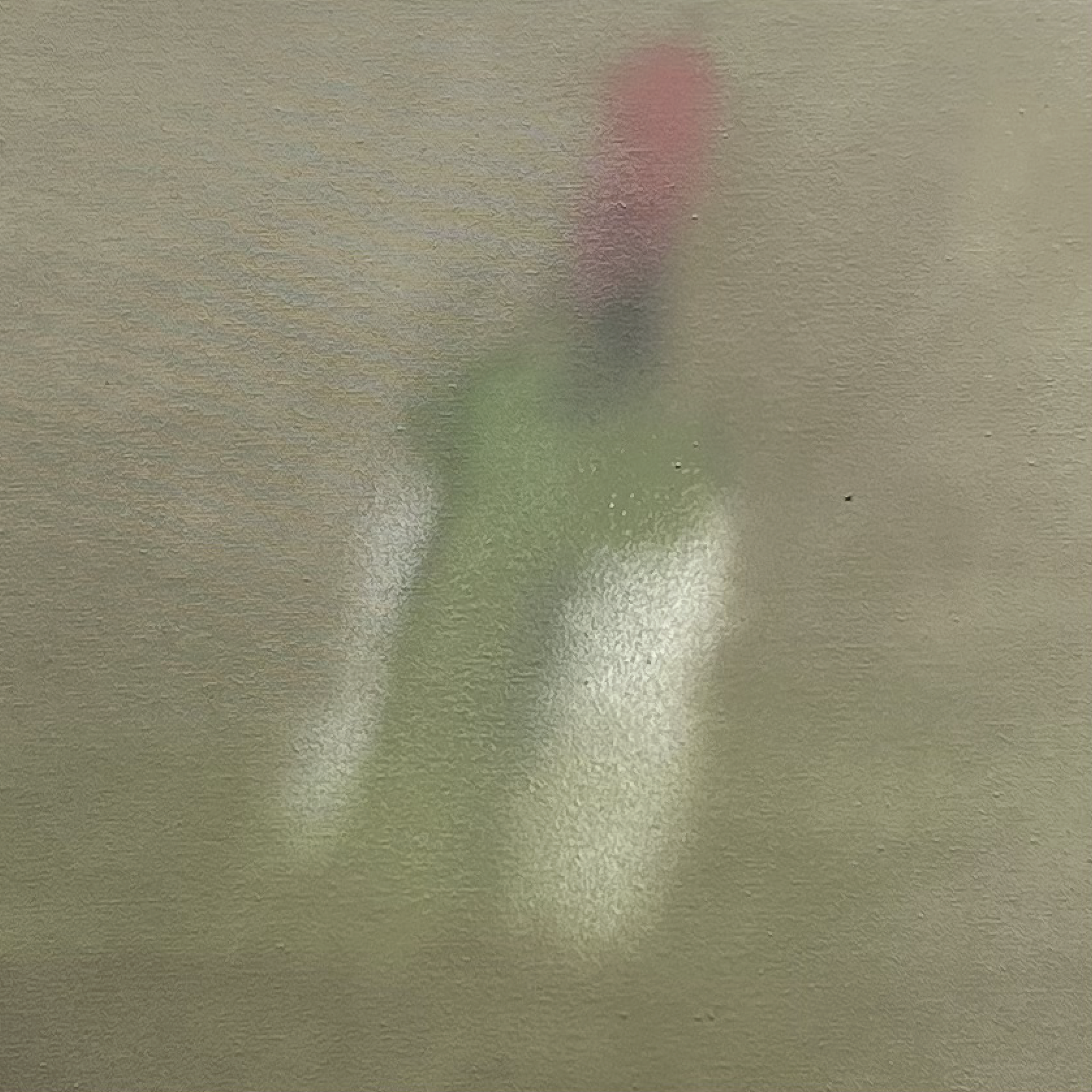 FLOODWATER FLOATER, No2 PENFOLDS BIN 128 2013 SHIRAZ.PNG