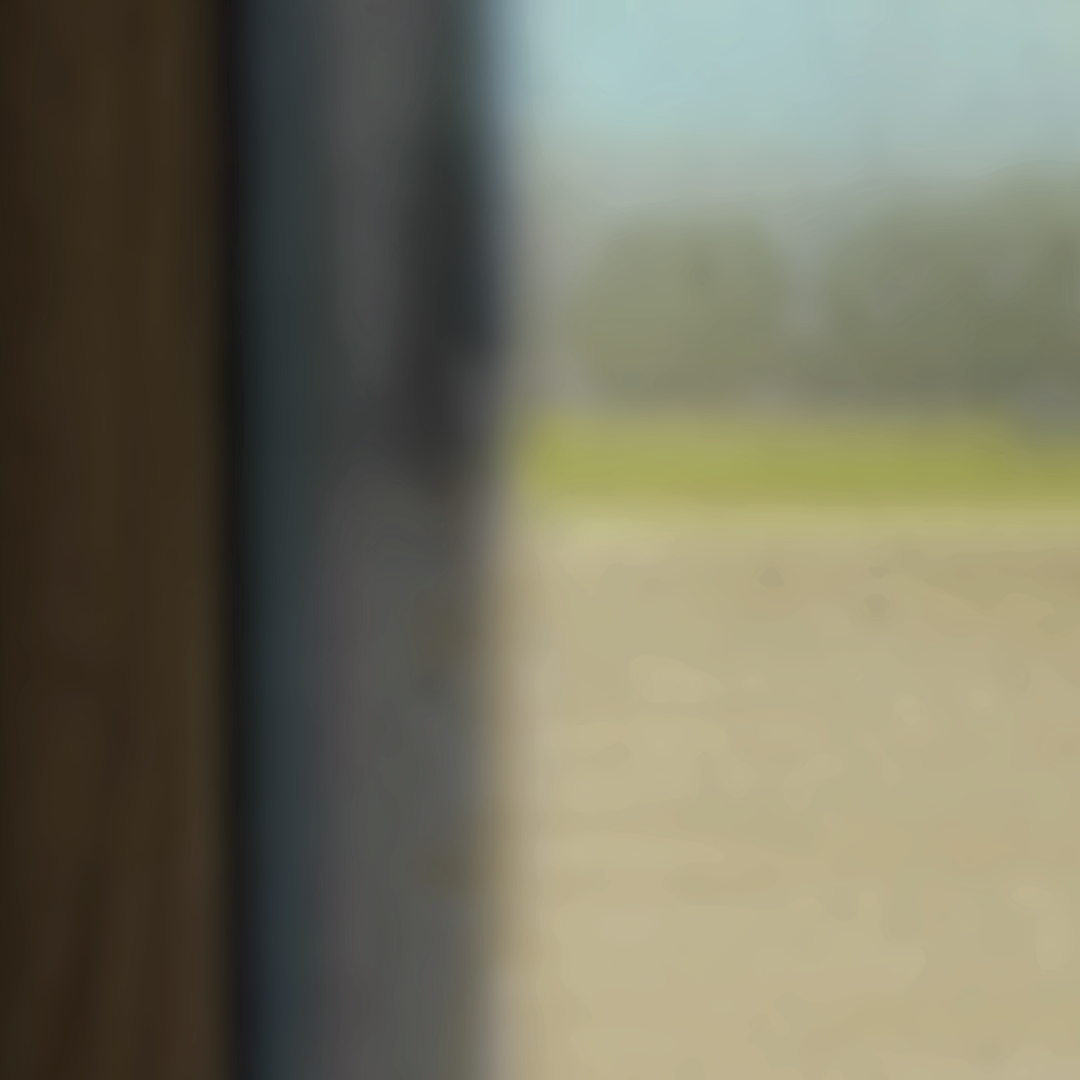 PEAKING OUTSIDE, FLOODED INN.PNG