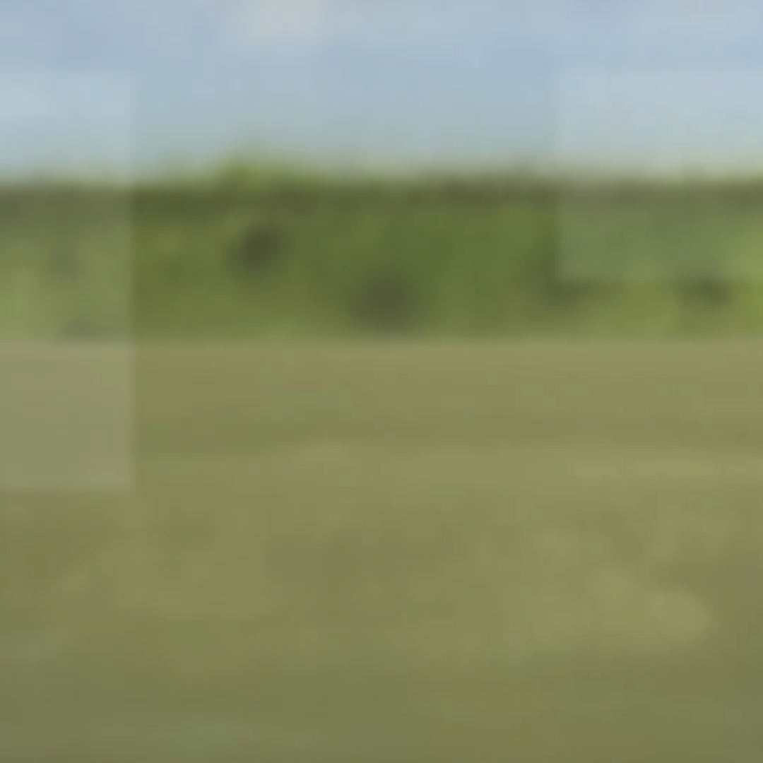 FLOODED INN LOOKING OUT.PNG