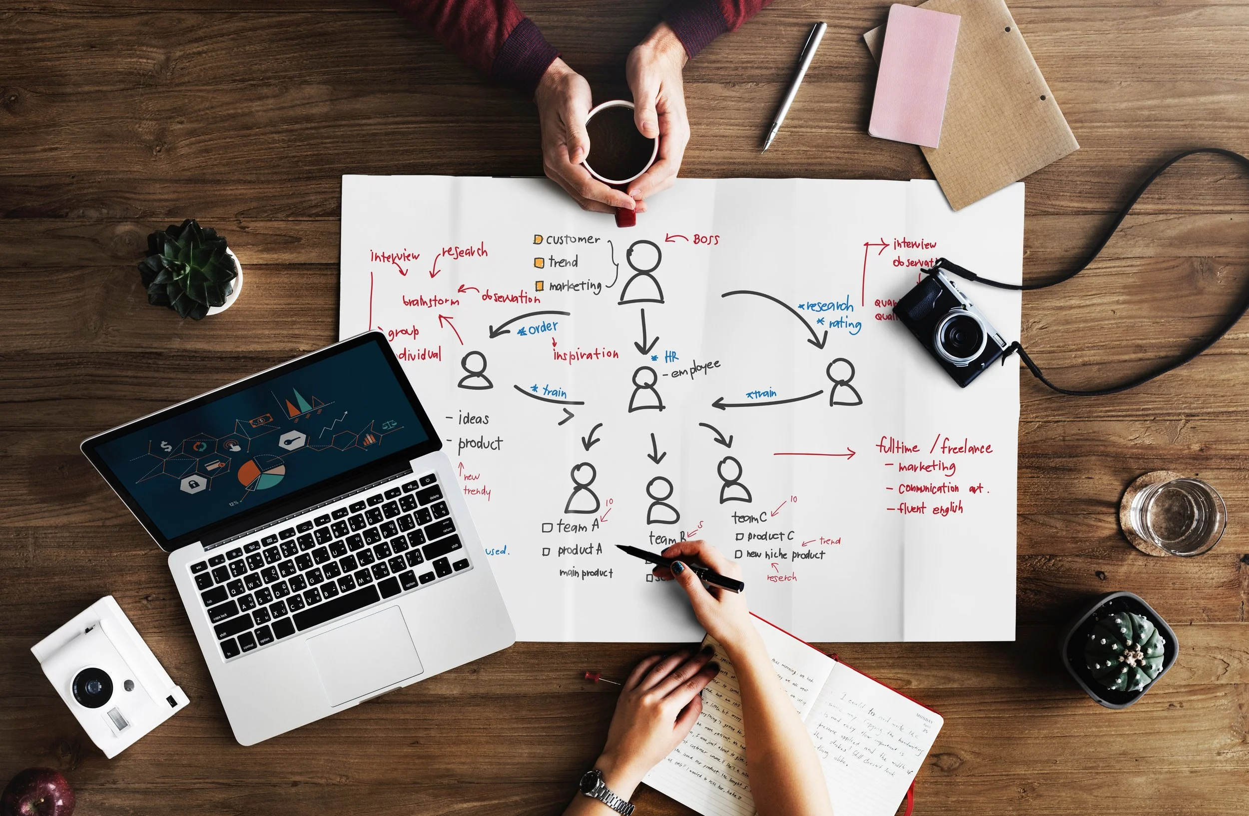 Where to Find Job Opportunities: Networking