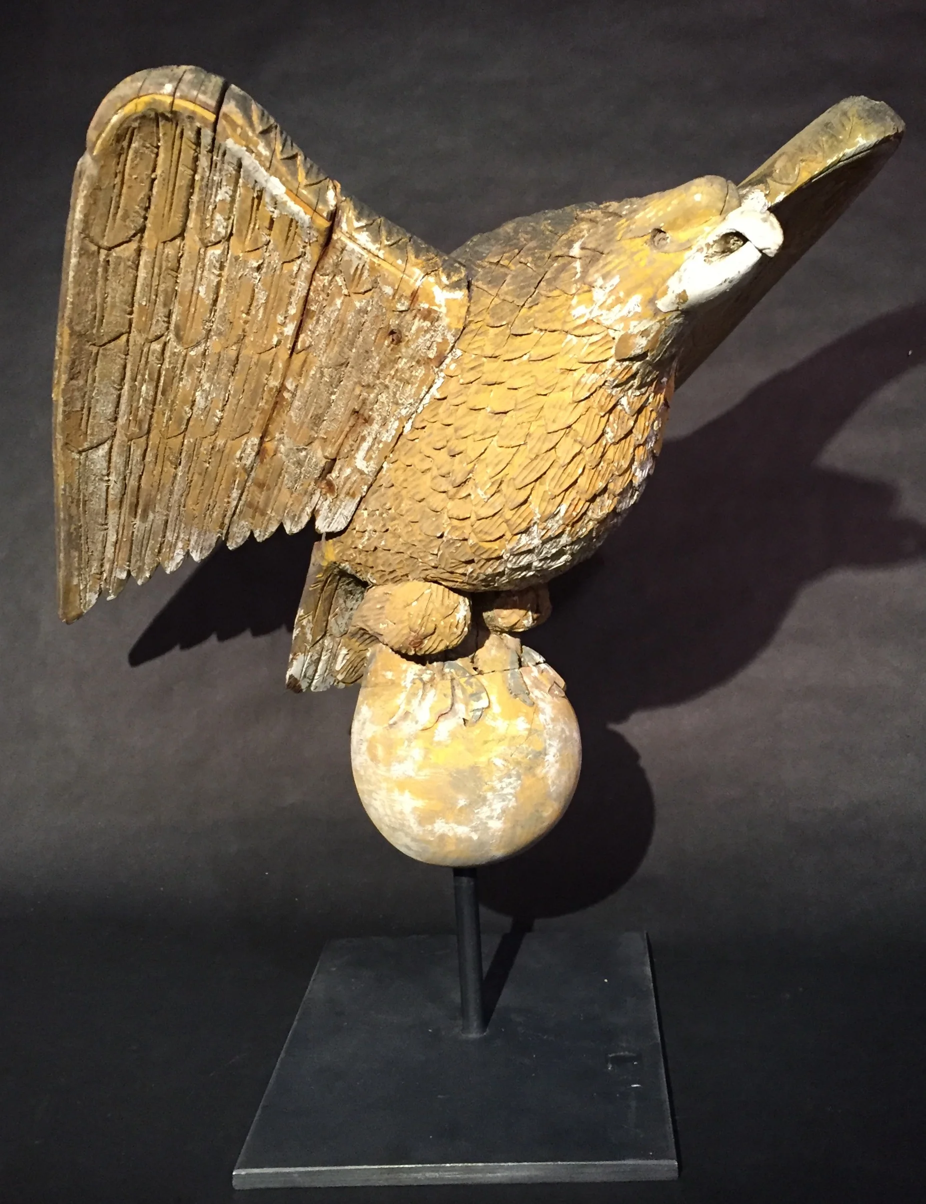 Eagle 1.jpg