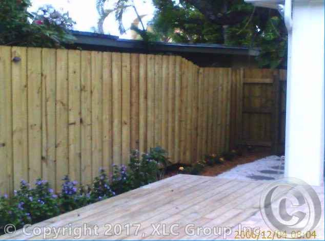 8 backyard.jpg