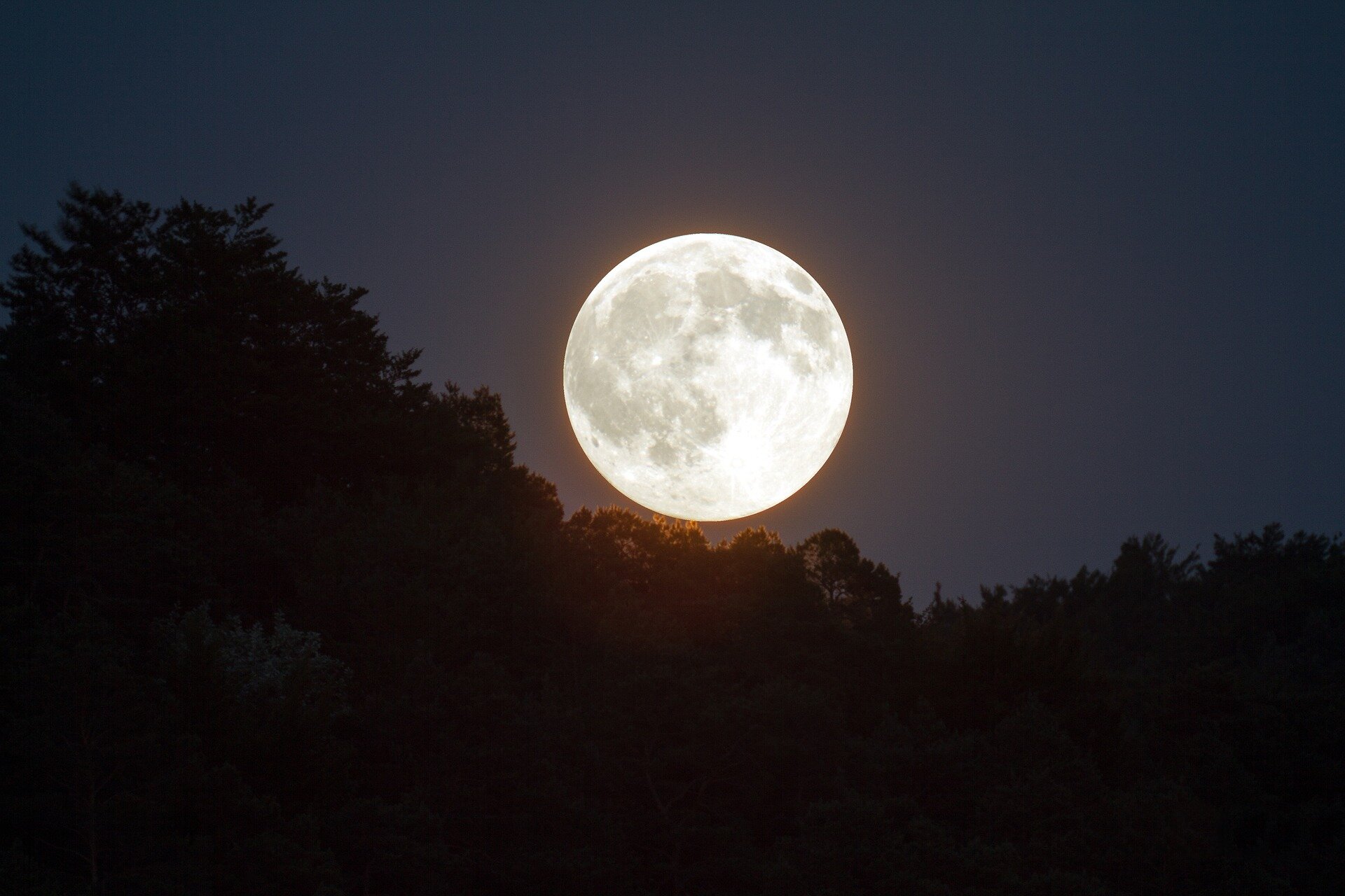 Full Moon Fever Bike Ride (Short Distance)