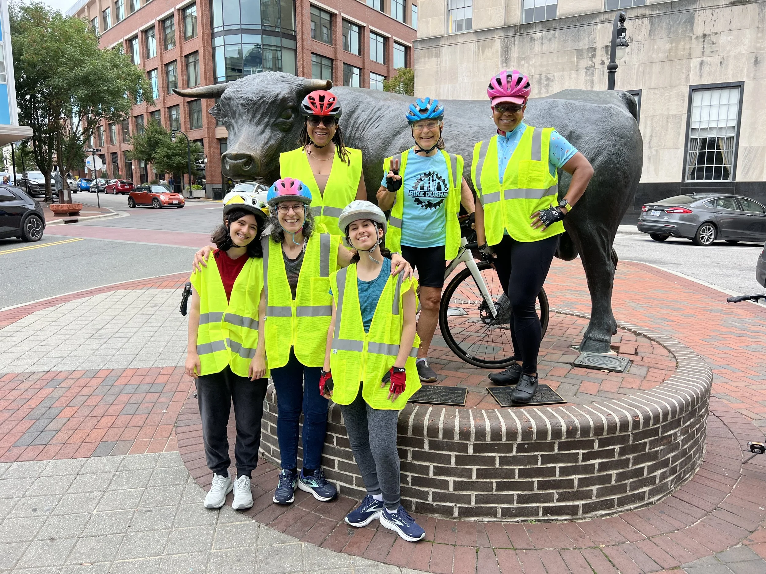 Level 3 group Bull  (1).jpeg