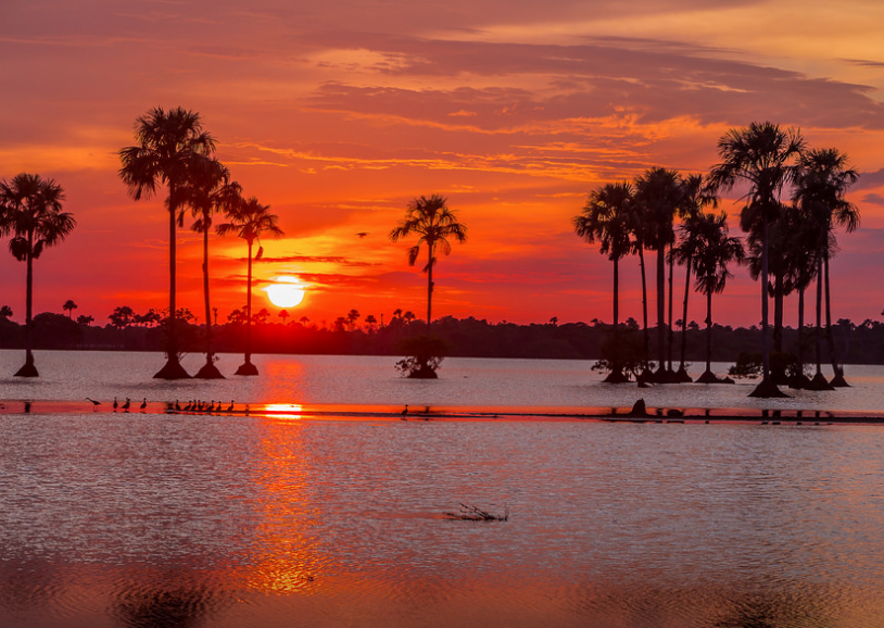 Captura de pantalla 2017-08-29 a las 11.09.09 a.m..png