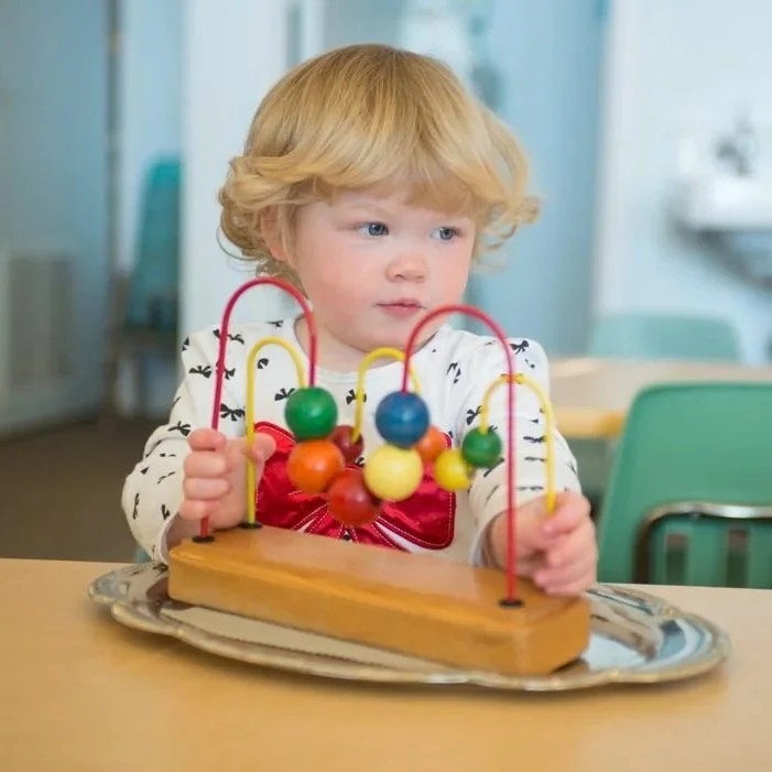 Little Blossom Montessori School