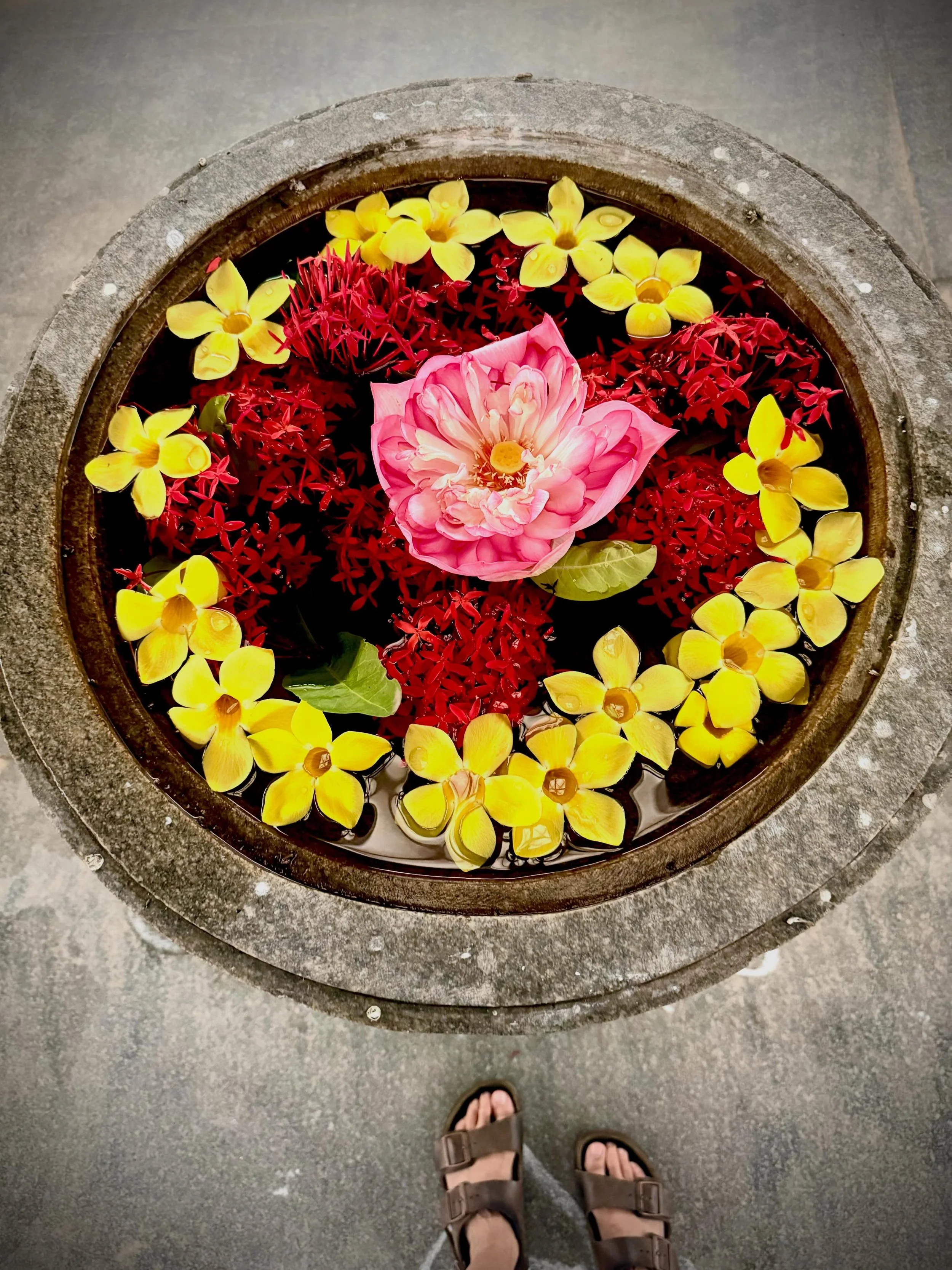 &ldquo;Kindness here is inseparable from the land. It comes wrapped in fresh, dripping green banana leaves, served with crimson mangoes plucked straight from the orchard dust, given freely by hands that ask for no reward other than to see you nourish