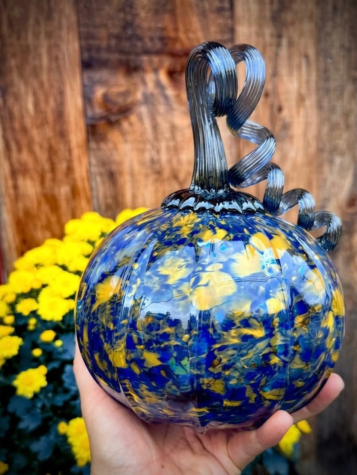 &ldquo;The sky was yellow and the sun was blue.&rdquo; Come check out all the fun colors combos&hellip; #pumpkinseasonishere #nhmade #fallfresh #glasspumpkin #blueandyellow💙💛