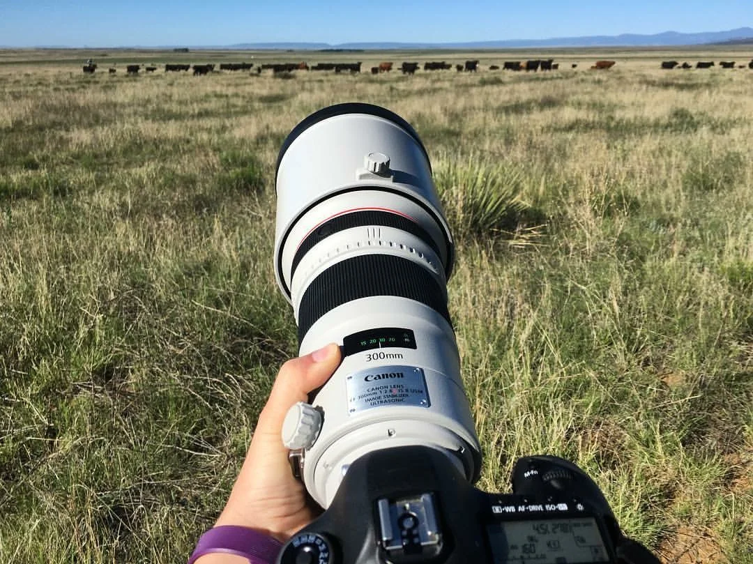 Abigail Boatwright's gear at work in New Mexico. 